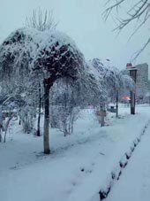 ����֮��-��Һ�03
