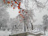 ����֮��-��Һ�06